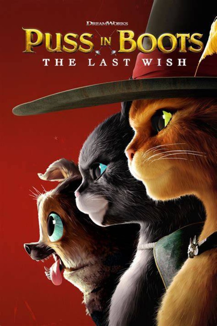 Puss in Boots: The Last Wish the Video Game
