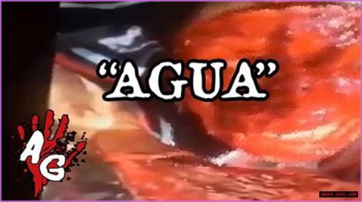 Quiero Agua Horror: Unraveling The Mystery Behind The Chilling Tale