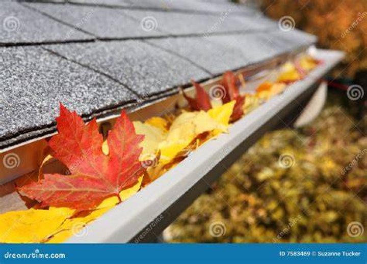 Rain Gutter Full Of Leaves And Debris