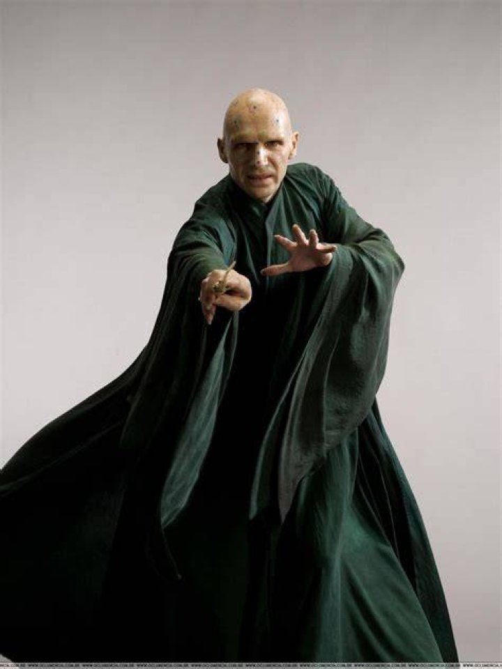 Ralph Fiennes as Lord Voldemort in Harry Potter (HBO Max Series)