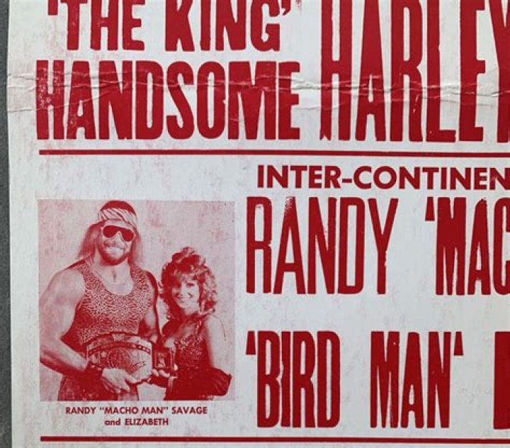 Randy Savage, Harley Race & Adrian Adonis v Roddy Piper, Ricky Steamboat & JYD WWE on MSG Cropped