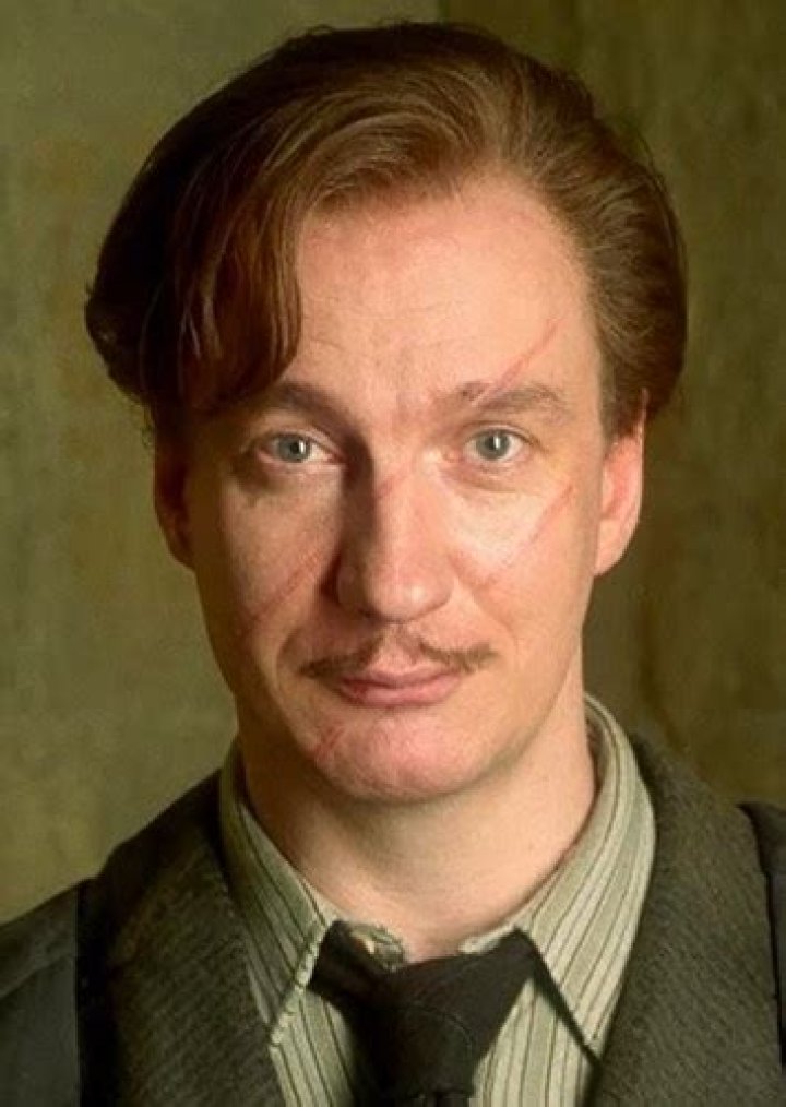 Remus Lupin Fan Casting for Marauders Era | myCast