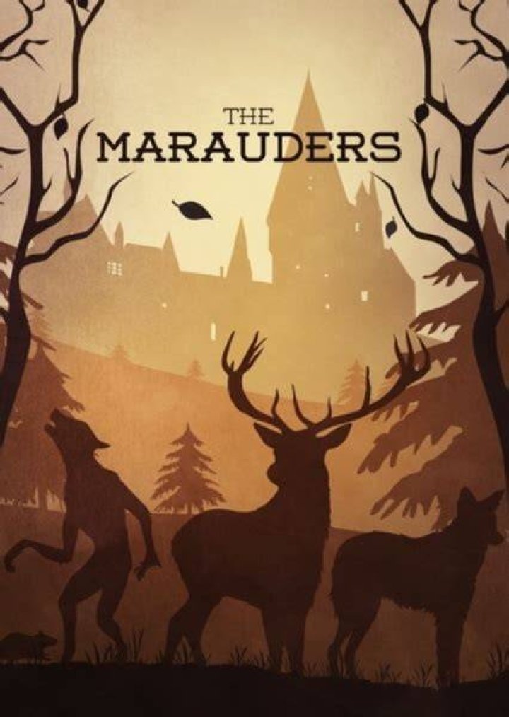 Remus Lupin Fan Casting for Warner Bros: The Marauders (2023) | myCast