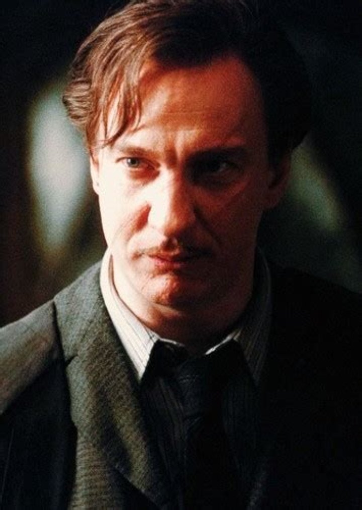 Remus Lupin Fan Casting