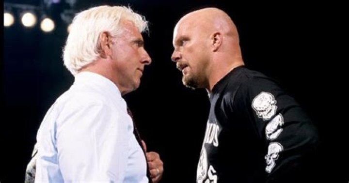 Ric Flair Steve Austin