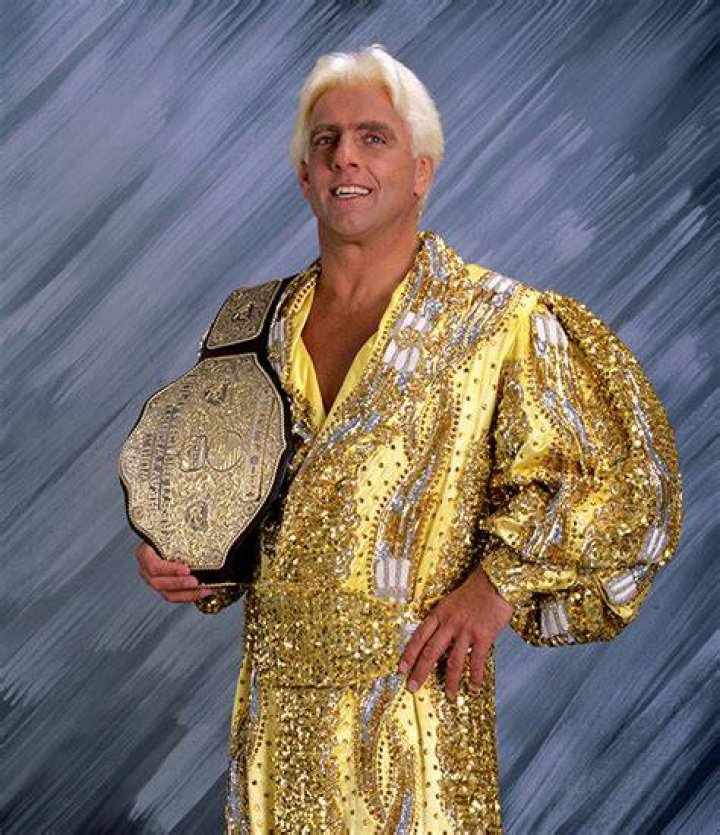 Ric Flair WCW Champion Cropped