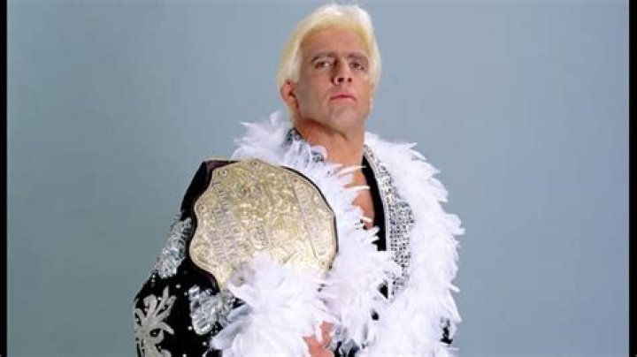 Ric Flair wcw wwe 