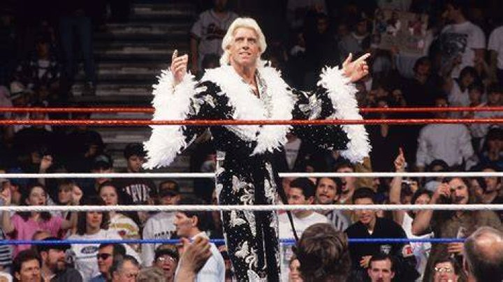 Ric Flair wwe 