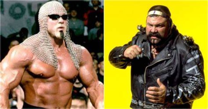 Rick and Scott Steiner as tag team champions in the WWE