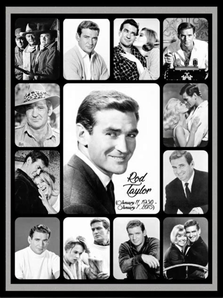 Rod Taylor Fan Casting