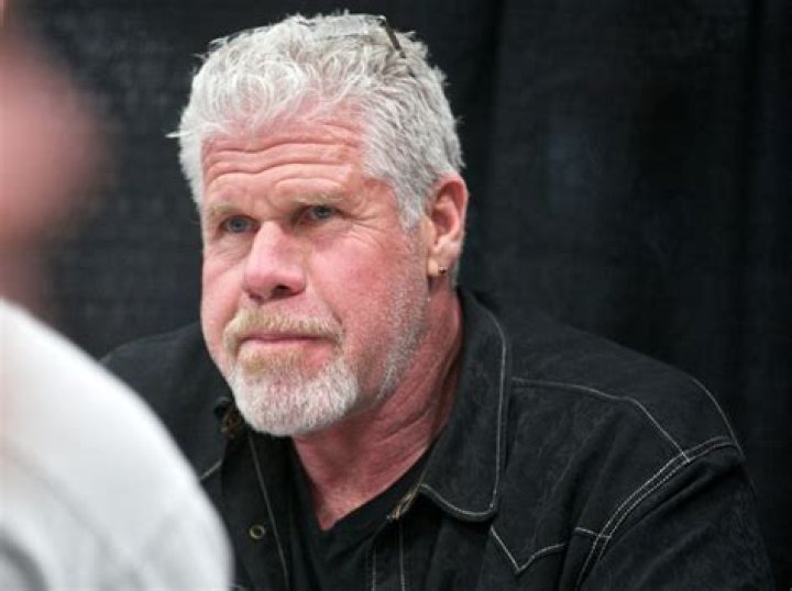 Ron Perlman as Leo Bonhart in The Witcher(Netflix)-Sequel