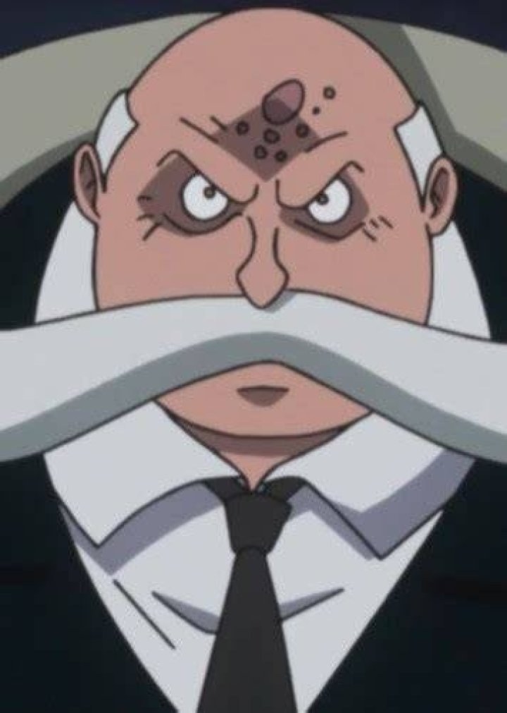 Saint Topman Valkyrie Fan Casting for One Piece | myCast