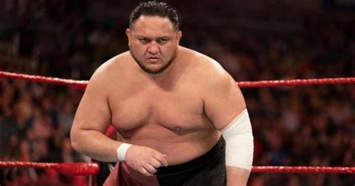 Samoa Joe | TheSportster