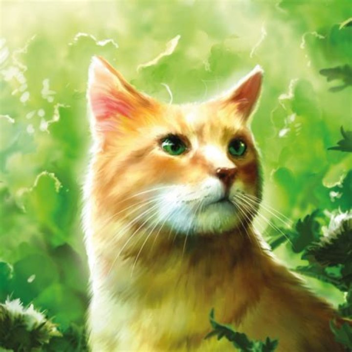 Sandstorm (Warrior Cats) Fan Casting