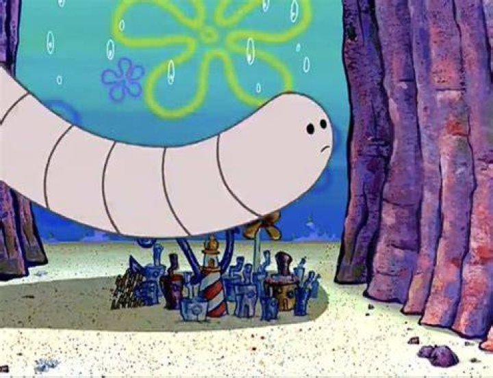 Sandy, SpongeBob, and the Worm Fan Casting