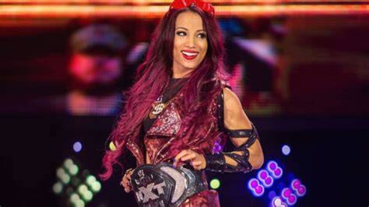 Sasha Banks in NXT