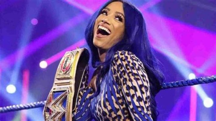 Sasha Banks New Day ring gear 