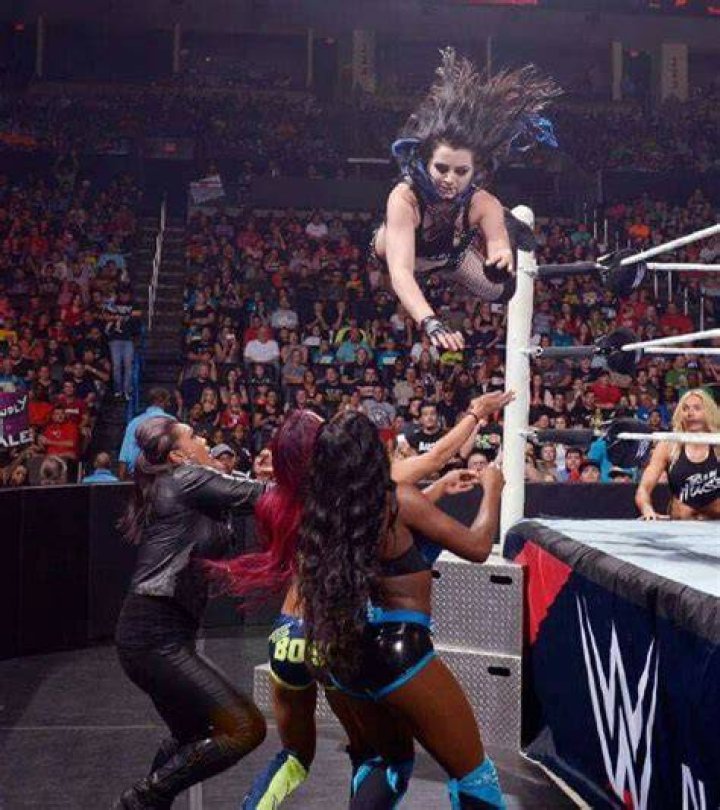 Sasha banks vs Paige