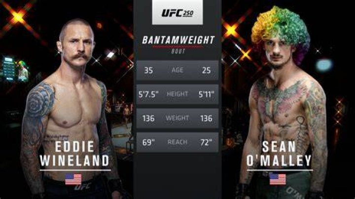 Sean O’Malley Defends Dana White’s Controversial $250,000 Gift to Nelk Boys
Amidst UFC Fighter Pay Issue