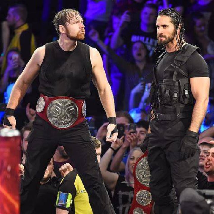 Seth Rollins v Dean Ambrose Elimination Chamber 2015 