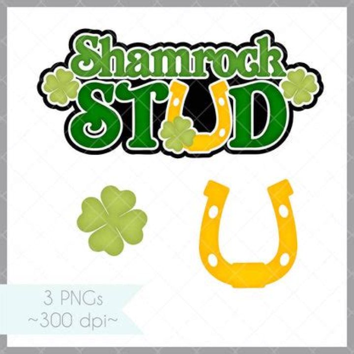 Shamrock v Rock IC Title