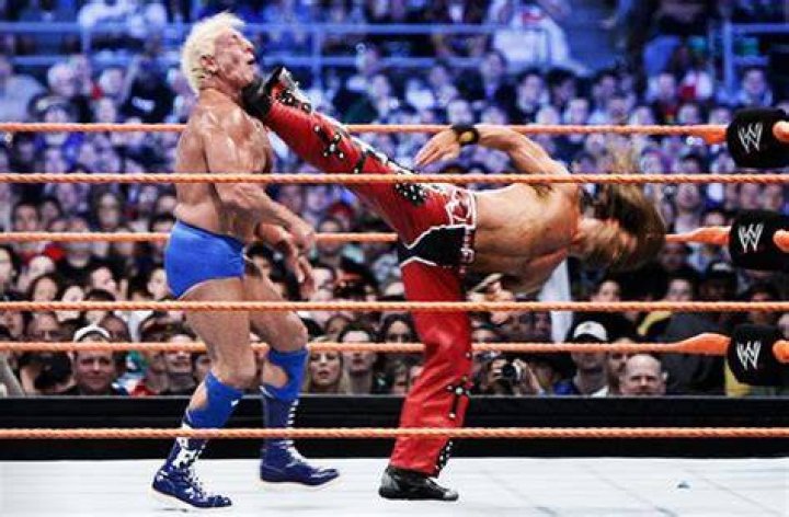 Shawn Michaels and Ric Flair laughing