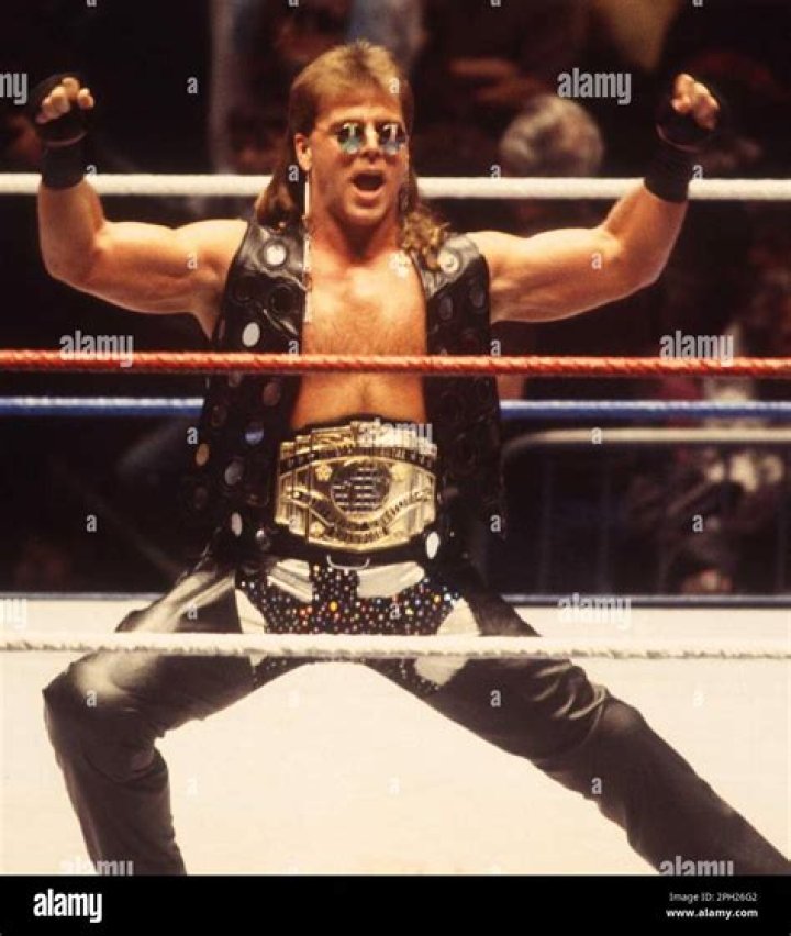 Shawn Michaels The Corporation 