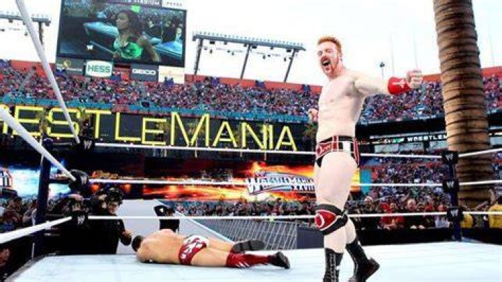 Sheamus Vs. Daniel Bryan WrestleMania 28