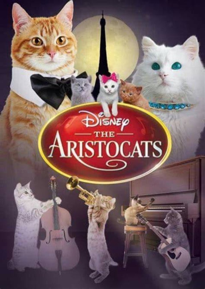Shun Gon the Chinese (Siamese) Cat Fan Casting for The Aristocats | myCast