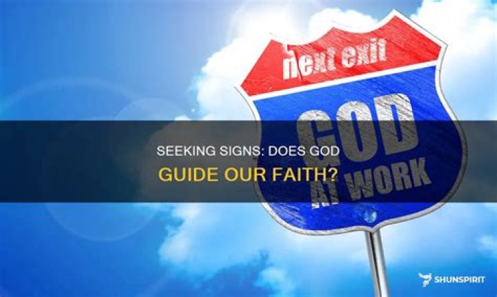 Signs from Above Does God Communicate Through Birds?