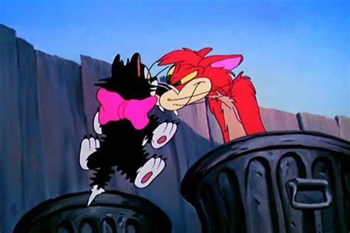 Sound Ideas, ANIMAL, CAT - TOM CATS, FIGHTING, HISSING, GROWLING Fan Casting