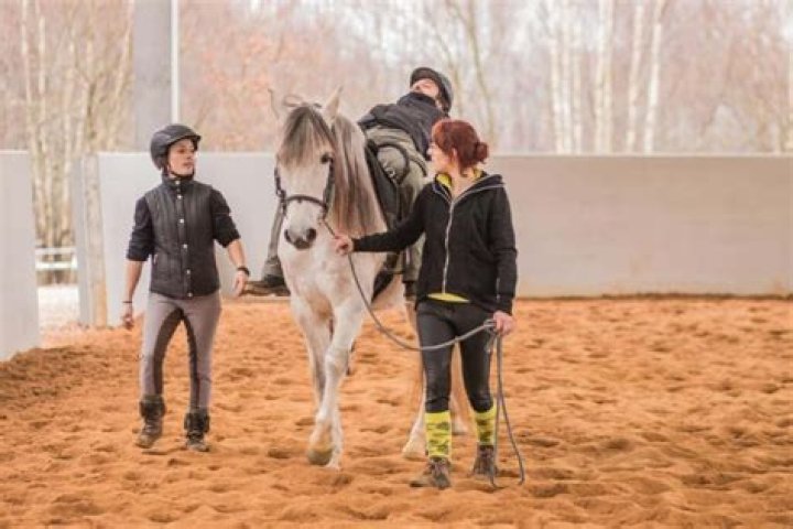 South Dallas Equestrian Club Embarks on a Life Changing Mission With Equine
Therapy, Here Are the Center’s Noteworthy Achievements