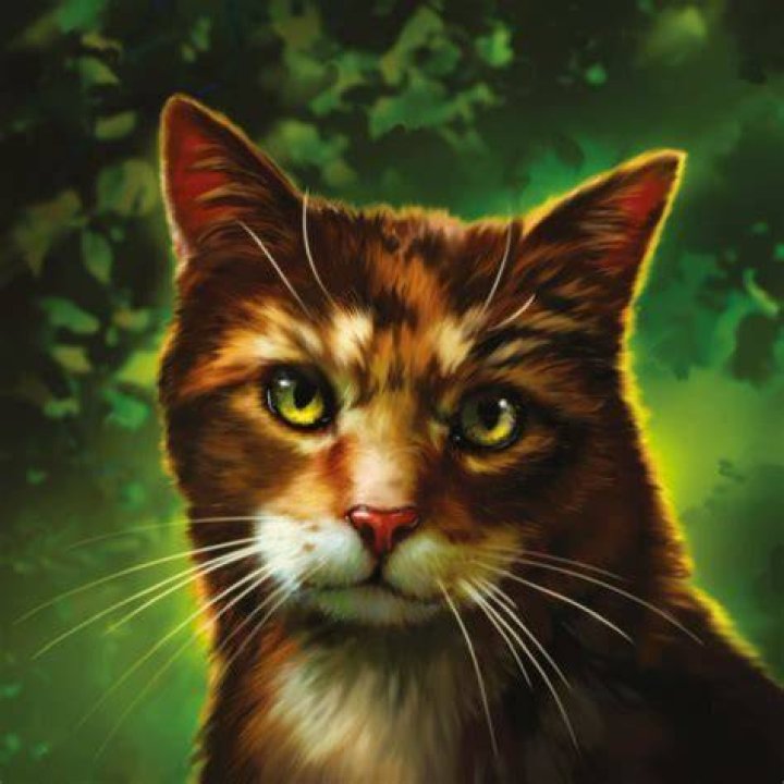 Spottedleaf (Warrior Cats) Fan Casting