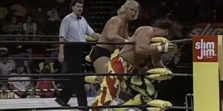 Steve Austin stun gun Randy Savage