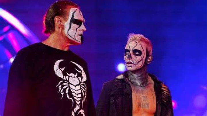 sting and darby allin