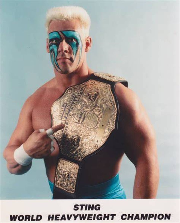Sting as the WCW World Heavyweight Champion