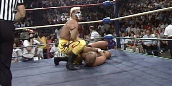 Sting vs Arn Anderson