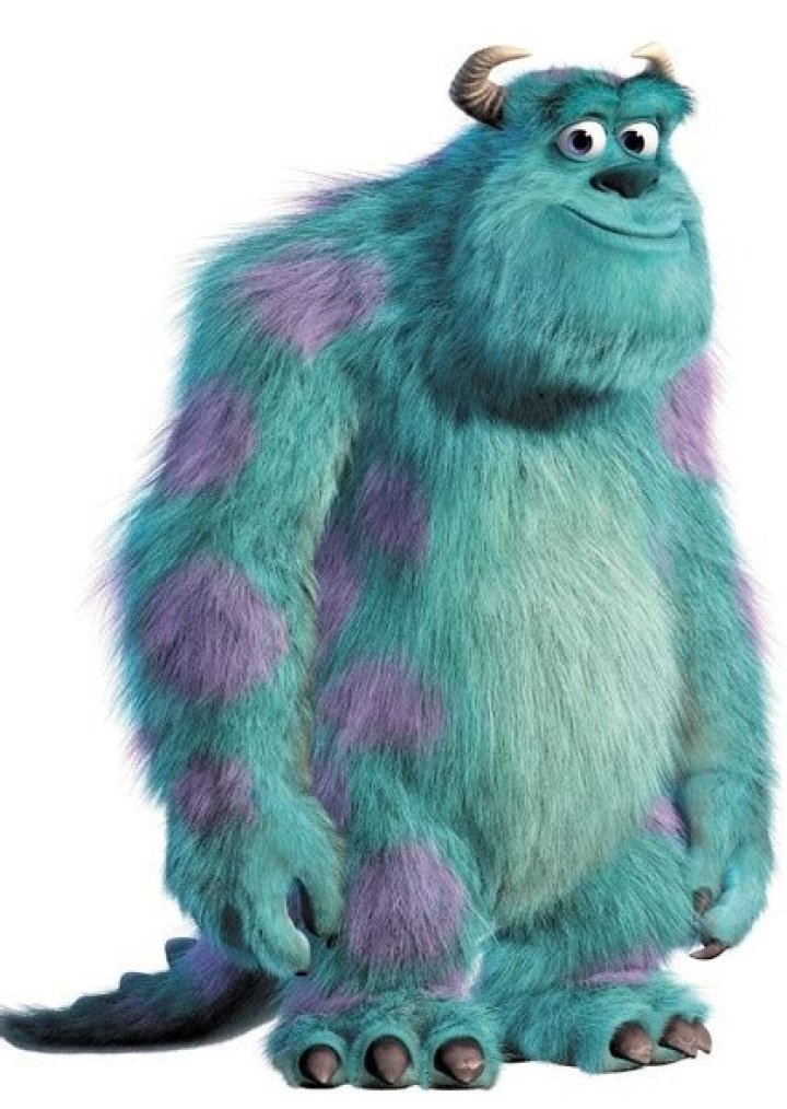 Sully (monsters inc) Fan Casting