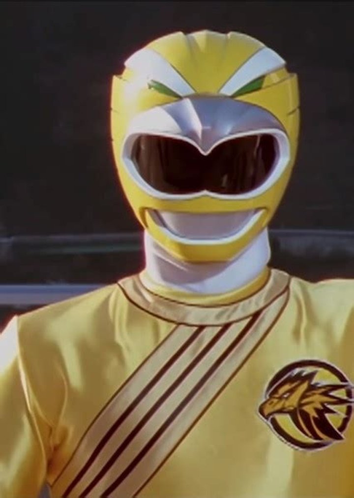 Taylor Earhardt/Yellow Wild Force Ranger Fan Casting