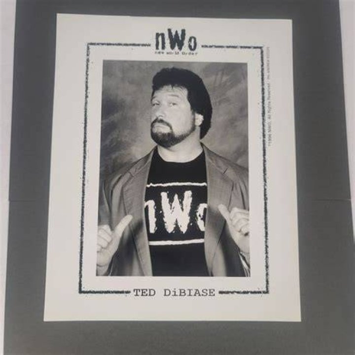 Ted DiBiase Joins nWo