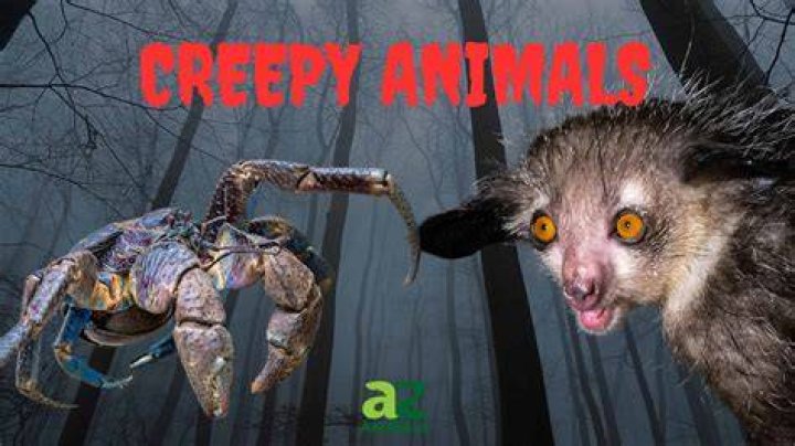 Terrifying Animals: Unveiling Nature's Most Fearsome Creatures