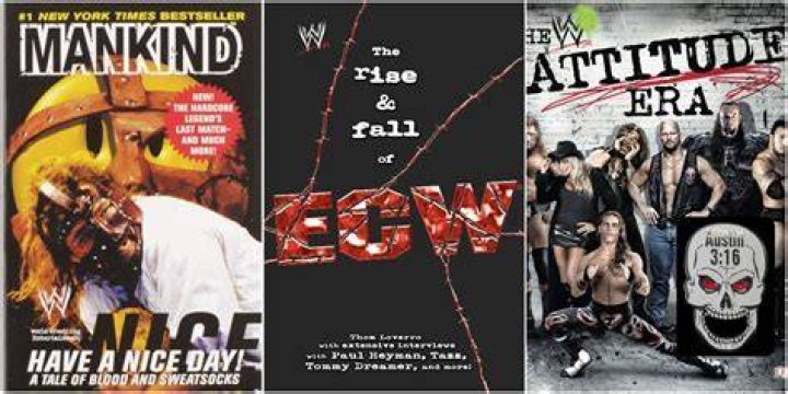 The 10 Best Books Made By WWE