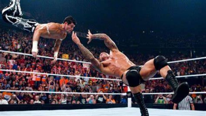 The 10 Best Wrestling Finishers Ever, According To Ranker.com