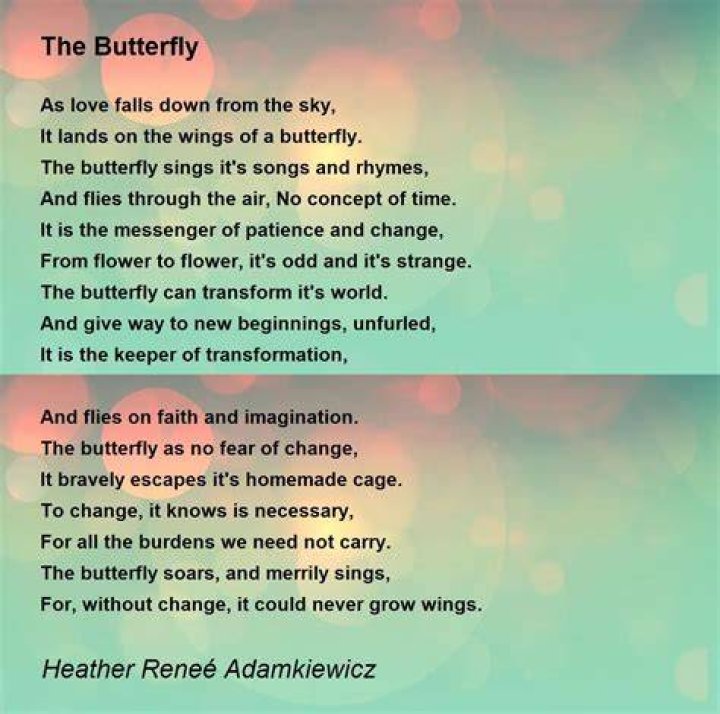 The Butterfly Poem by Heather Rene&eacute; Adamkiewicz Poem Hunter