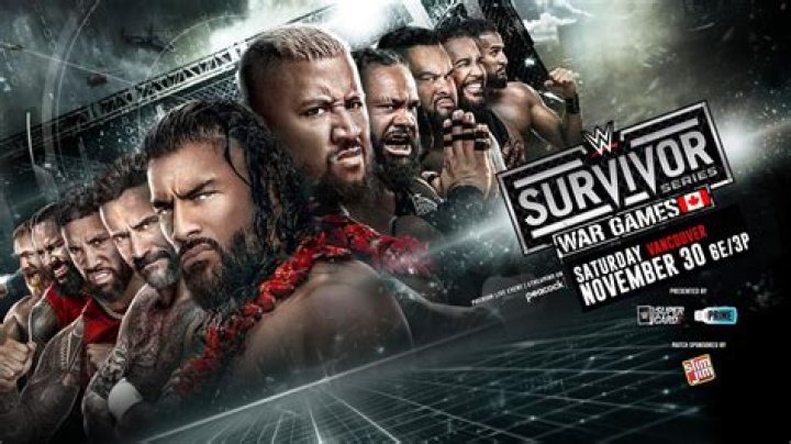 The Dark Side Survivor Series 1995 Cropped