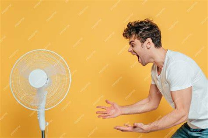 The Fan Man