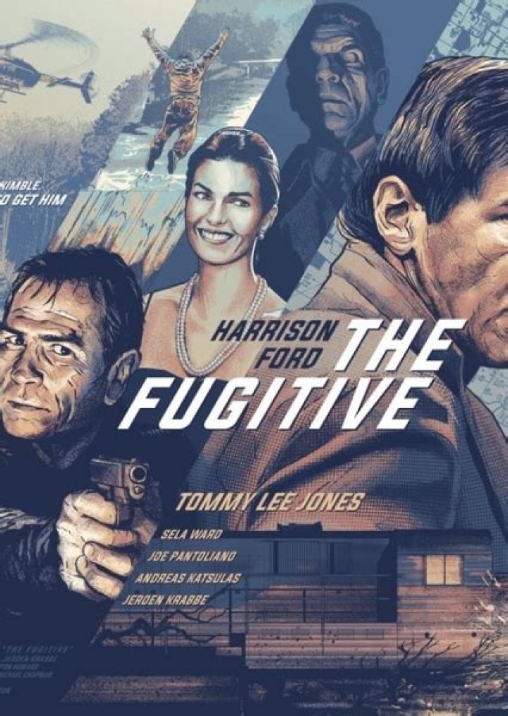 The Fugitive (2023) Fan Casting on myCast