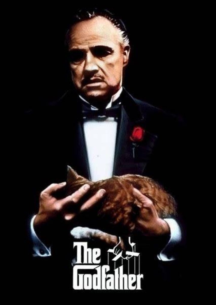 The Godfather (2023) Fan Casting on myCast