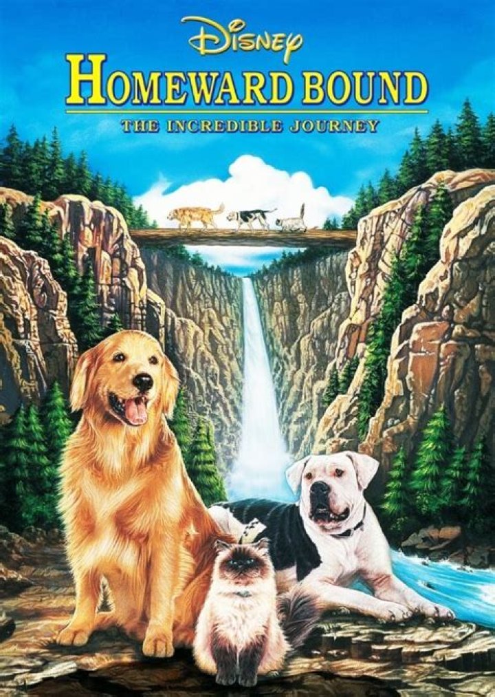 The Incredible Journey Fan Casting