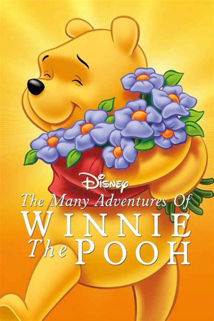 The Many Adventures of Winnie the Pooh (1997)